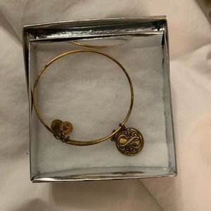 Alex and Ani bracelet